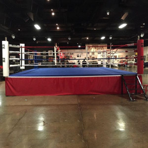 Boxing-ring-300-300-1